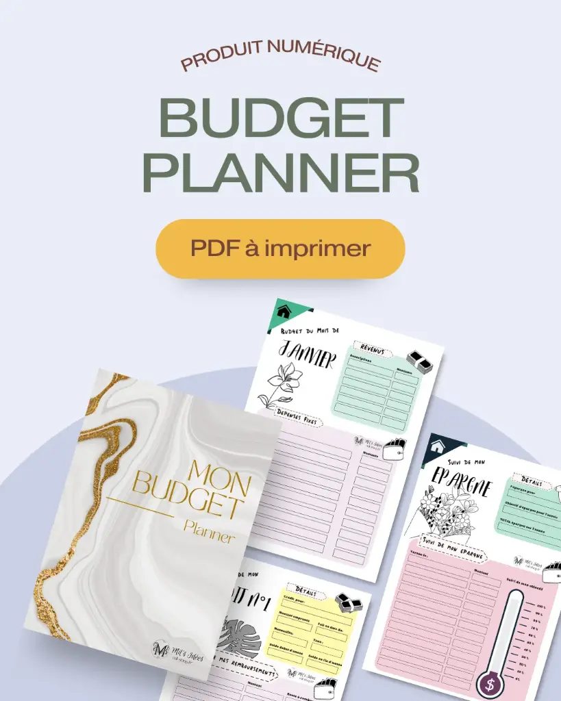 Budget Planner 12 Mois - Version Imprimable