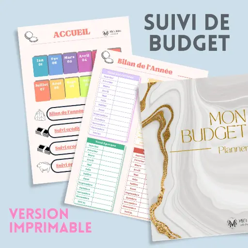 Budget Planner 12 Mois - Version Imprimable